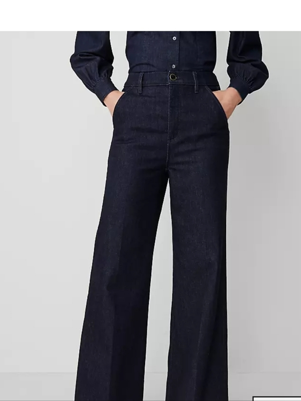 Ann TAYLOR Denim Trousers Wide Leg